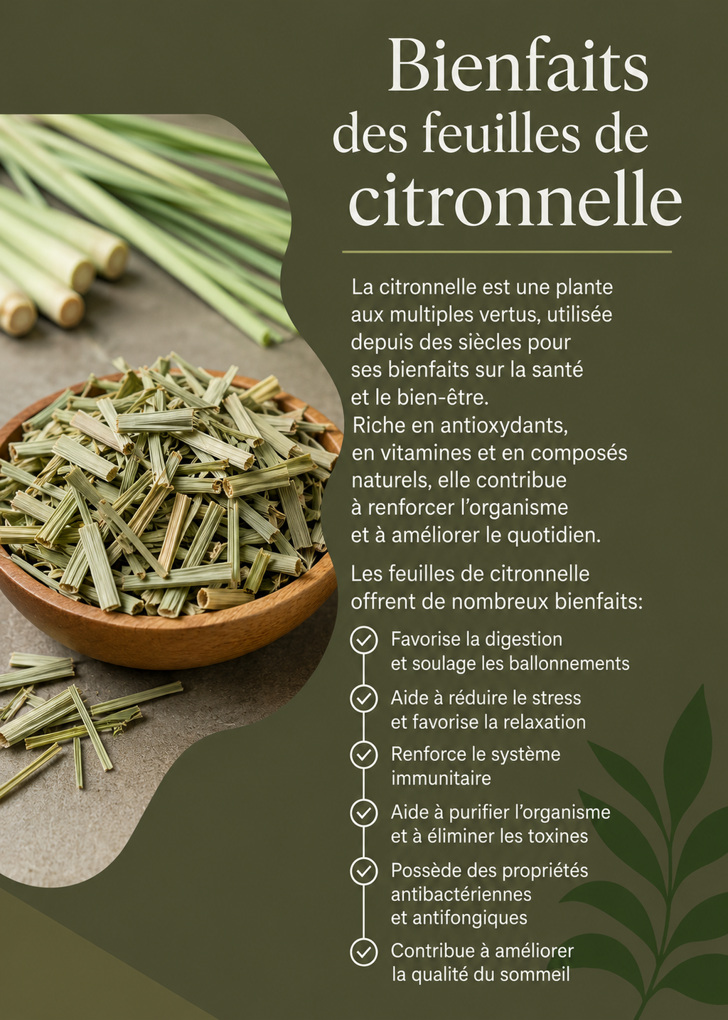 Feuille de citronnelle séchée Euneldbeauty
