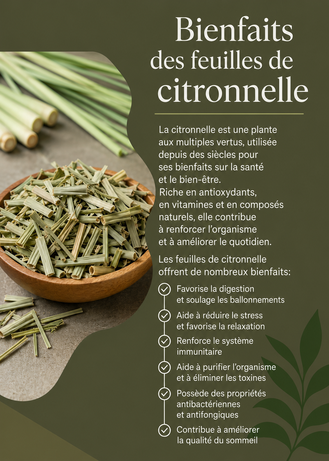 Feuille de citronnelle séchée Euneldbeauty
